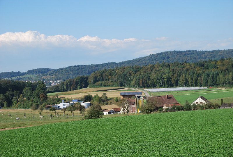 DSC_9107