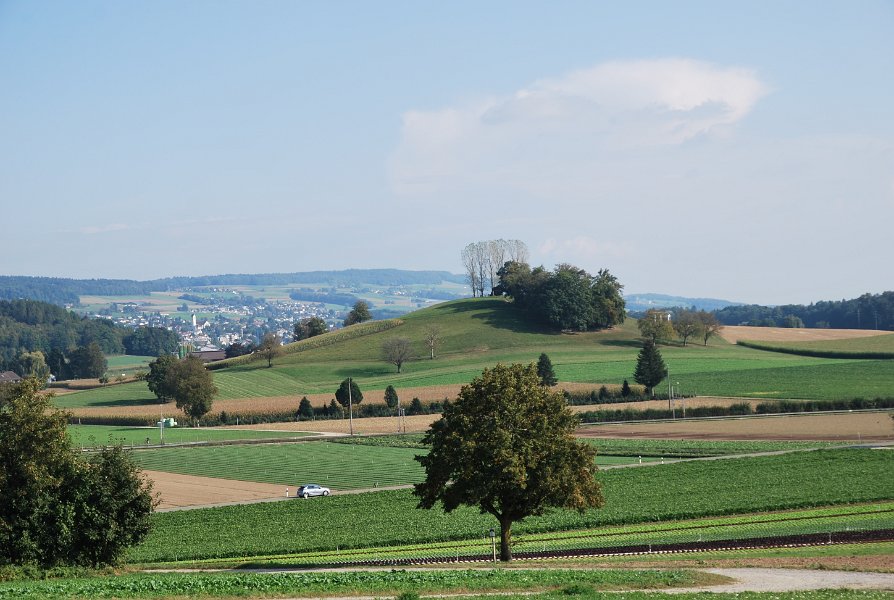 DSC_9465