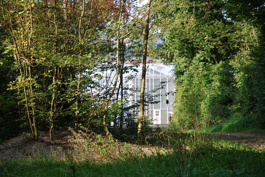 DSC_1624