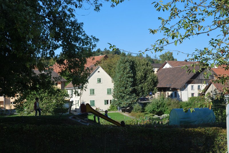 DSC_6946