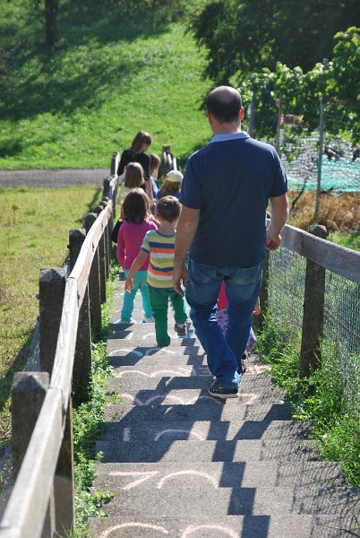 DSC_6993